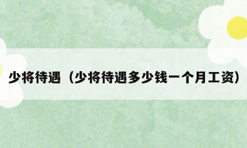 少将待遇（少将待遇多少钱一个月工资）