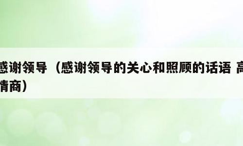感谢领导（感谢领导的关心和照顾的话语 高情商）