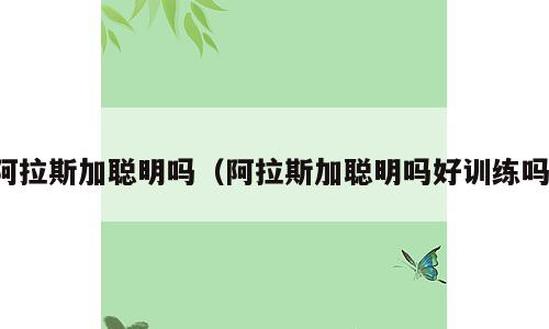 阿拉斯加聪明吗（阿拉斯加聪明吗好训练吗）