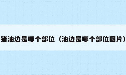 猪油边是哪个部位（油边是哪个部位图片）