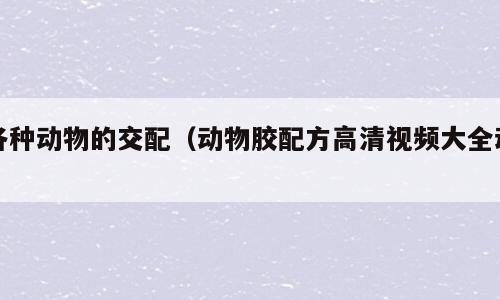 各种动物的交配（动物胶配方高清视频大全动）