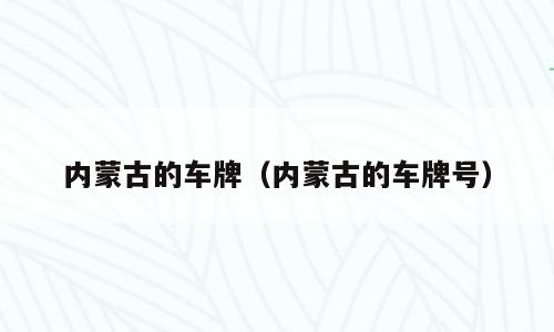 内蒙古的车牌（内蒙古的车牌号）