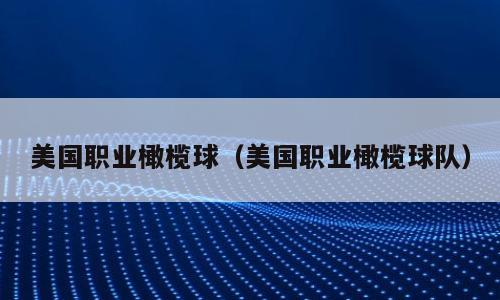 美国职业橄榄球（美国职业橄榄球队）