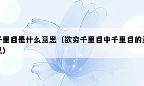 千里目是什么意思（欲穷千里目中千里目的意思）