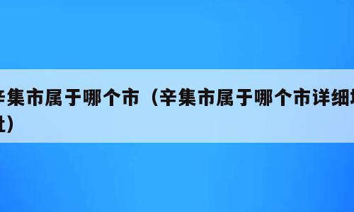 辛集市属于哪个市（辛集市属于哪个市详细地址）