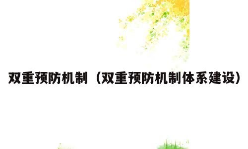 双重预防机制（双重预防机制体系建设）