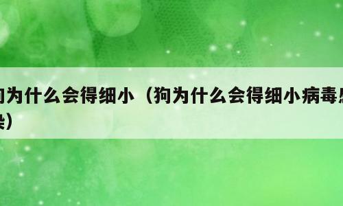 狗为什么会得细小（狗为什么会得细小病毒感染）