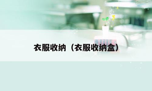 衣服收纳（衣服收纳盒）