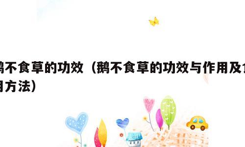 鹅不食草的功效（鹅不食草的功效与作用及食用方法）