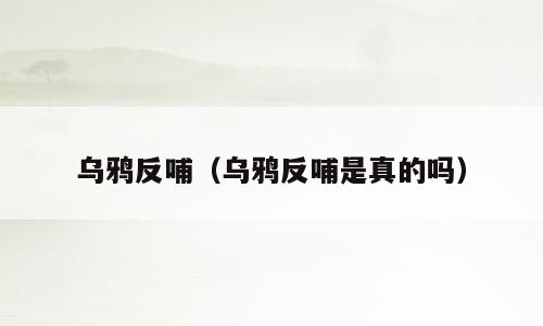 乌鸦反哺（乌鸦反哺是真的吗）