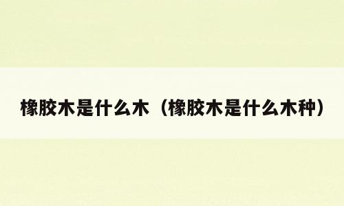 橡胶木是什么木（橡胶木是什么木种）