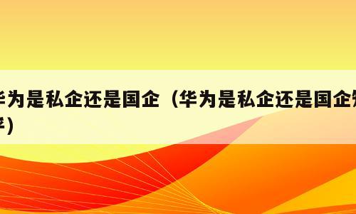华为是私企还是国企（华为是私企还是国企知乎）