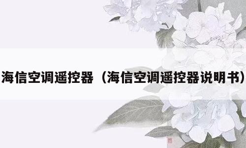 海信空调遥控器（海信空调遥控器说明书）