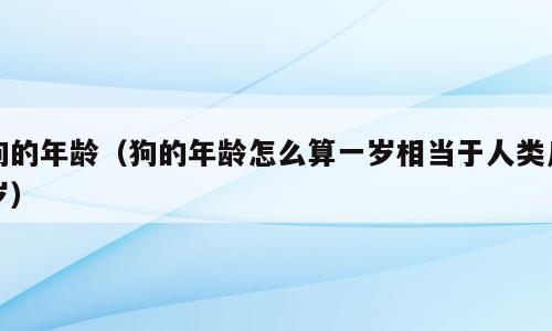 狗的年龄（狗的年龄怎么算一岁相当于人类几岁）