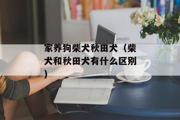 家养狗柴犬秋田犬（柴犬和秋田犬有什么区别)