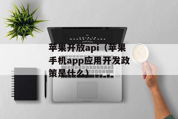 苹果开放api（苹果手机app应用开发政策是什么)
