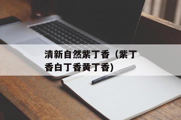 清新自然紫丁香（紫丁香白丁香黄丁香)