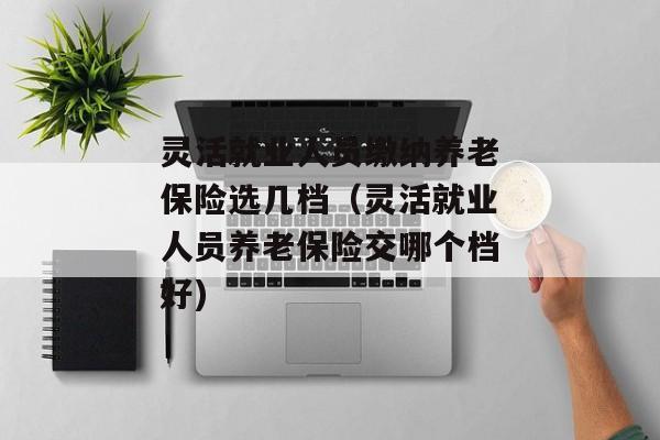 灵活就业人员缴纳养老保险选几档（灵活就业人员养老保险交哪个档好)