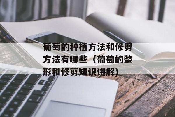 葡萄的种植方法和修剪方法有哪些（葡萄的整形和修剪知识讲解)
