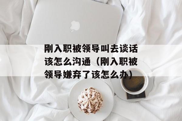 刚入职被领导叫去谈话该怎么沟通（刚入职被领导嫌弃了该怎么办)