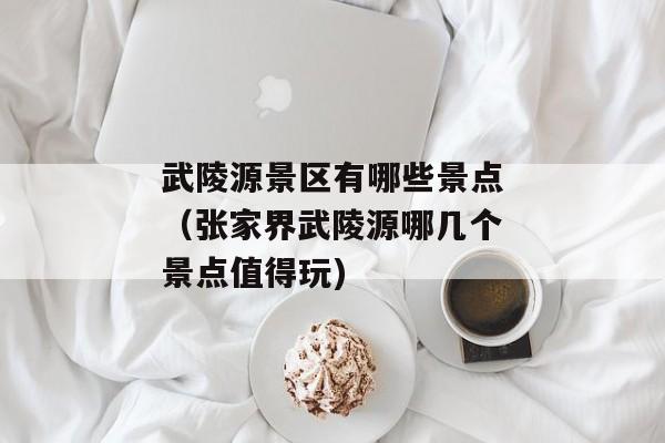 武陵源景区有哪些景点（张家界武陵源哪几个景点值得玩)