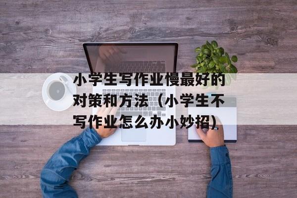 小学生写作业慢最好的对策和方法（小学生不写作业怎么办小妙招)