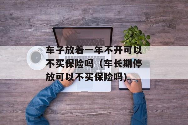 车子放着一年不开可以不买保险吗（车长期停放可以不买保险吗)