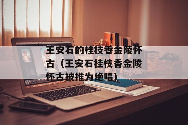 王安石的桂枝香金陵怀古（王安石桂枝香金陵怀古被推为绝唱)