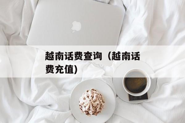 越南话费查询（越南话费充值)