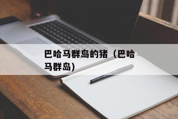 巴哈马群岛的猪（巴哈马群岛)