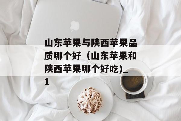 山东苹果与陕西苹果品质哪个好（山东苹果和陕西苹果哪个好吃)_1