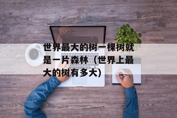世界最大的树一棵树就是一片森林（世界上最大的树有多大)