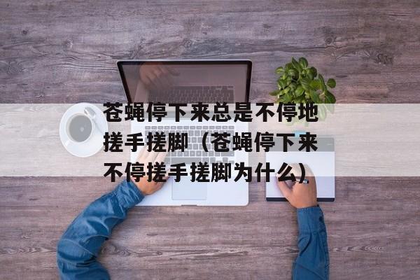 苍蝇停下来总是不停地搓手搓脚（苍蝇停下来不停搓手搓脚为什么)