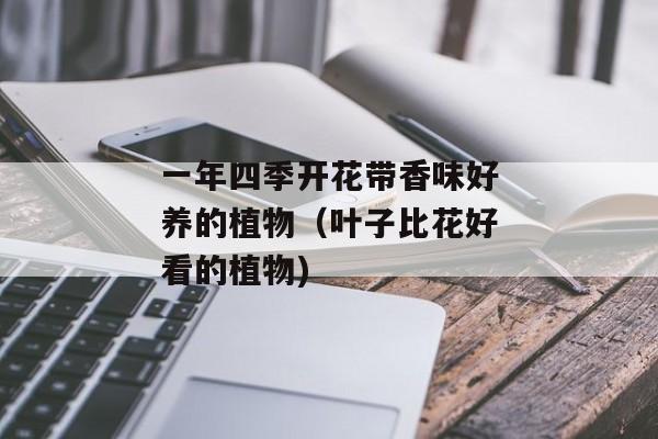 一年四季开花带香味好养的植物（叶子比花好看的植物)