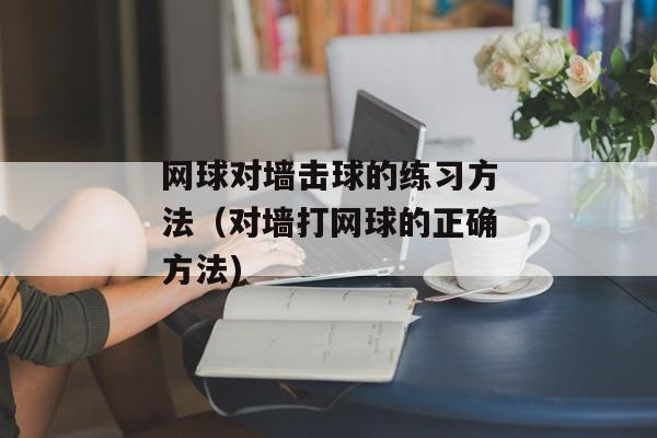 网球对墙击球的练习方法（对墙打网球的正确方法)