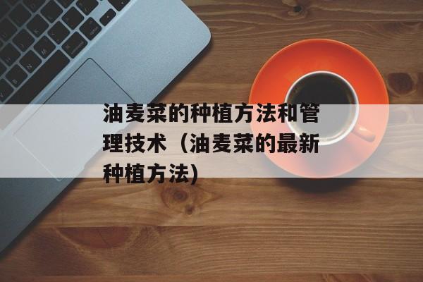 油麦菜的种植方法和管理技术（油麦菜的最新种植方法)