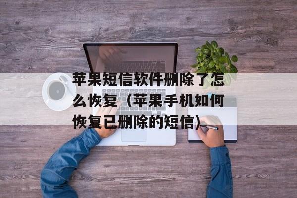 苹果短信软件删除了怎么恢复（苹果手机如何恢复已删除的短信)