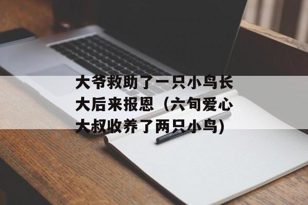 大爷救助了一只小鸟长大后来报恩（六旬爱心大叔收养了两只小鸟)