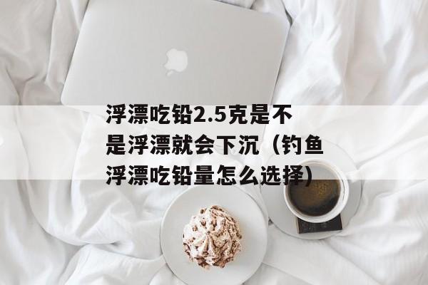 浮漂吃铅2.5克是不是浮漂就会下沉（钓鱼浮漂吃铅量怎么选择)