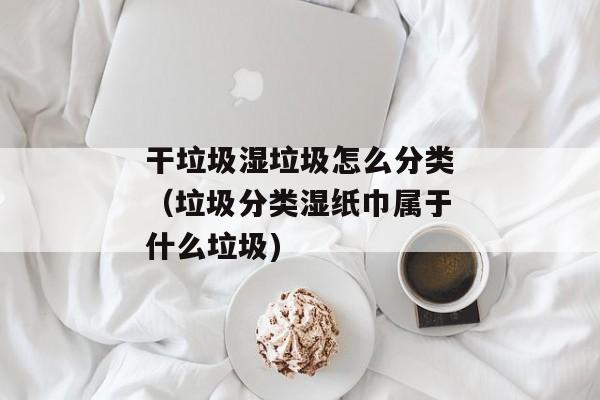 干垃圾湿垃圾怎么分类（垃圾分类湿纸巾属于什么垃圾)