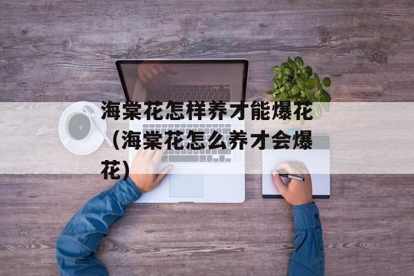 海棠花怎样养才能爆花（海棠花怎么养才会爆花)