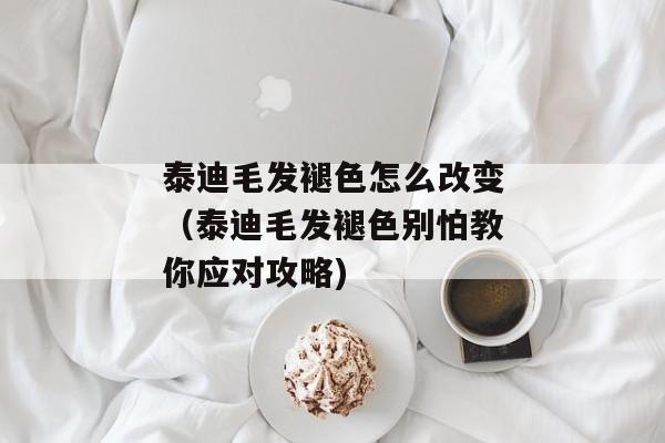 泰迪毛发褪色怎么改变（泰迪毛发褪色别怕教你应对攻略)