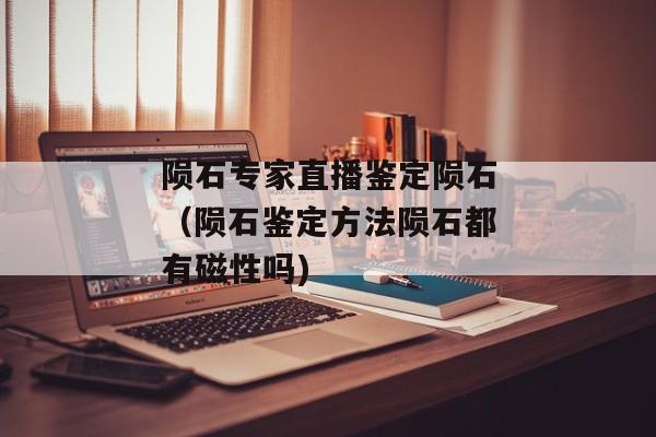 陨石专家直播鉴定陨石（陨石鉴定方法陨石都有磁性吗)