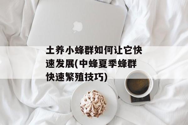 土养小蜂群如何让它快速发展(中蜂夏季蜂群快速繁殖技巧)