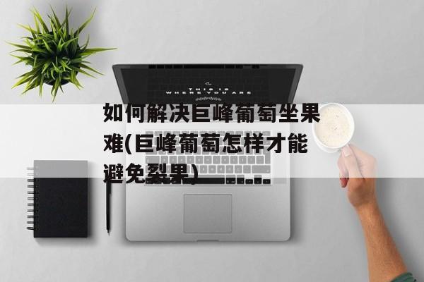 如何解决巨峰葡萄坐果难(巨峰葡萄怎样才能避免裂果)