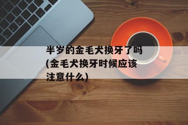 半岁的金毛犬换牙了吗(金毛犬换牙时候应该注意什么)