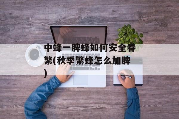 中蜂一脾蜂如何安全春繁(秋季繁蜂怎么加脾)