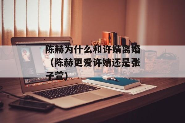 陈赫为什么和许婧离婚（陈赫更爱许婧还是张子萱)