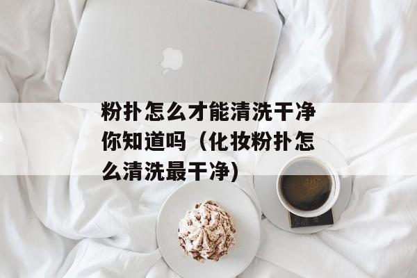 粉扑怎么才能清洗干净你知道吗（化妆粉扑怎么清洗最干净)