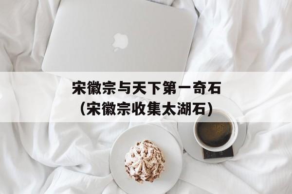 宋徽宗与天下第一奇石（宋徽宗收集太湖石)